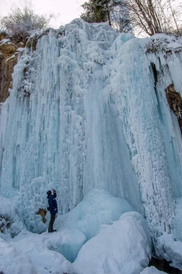 Вілла Deea Cascada Vidra  Екстер'єр фото