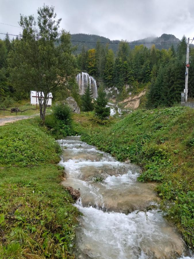 Вілла Deea Cascada Vidra  Екстер'єр фото